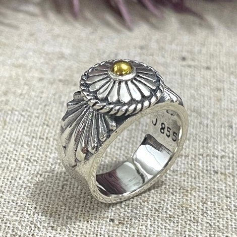 Silver and Brass ring