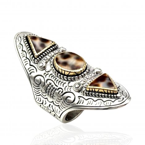 COQUILLAGE PORCELAINE