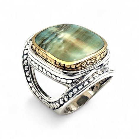 COQUILLAGE VERT
