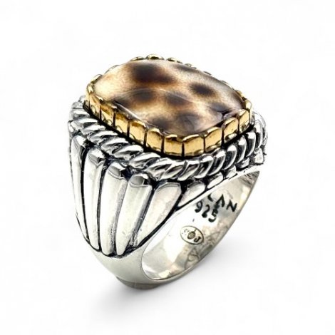 PORCELAINE SHELL