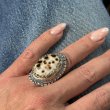 PORCELAIN SHELL