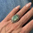 COQUILLAGE VERT