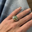 COQUILLAGE VERT