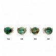 COQUILLAGE VERT