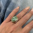 COQUILLAGE VERT