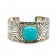AMAZONITE