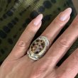 PORCELAINE SHELL