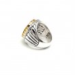 PORCELAINE SHELL